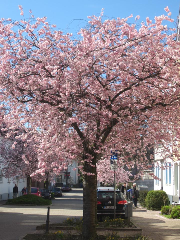 Thumbnail-Loft in Haan - Gruiten zu vermieten