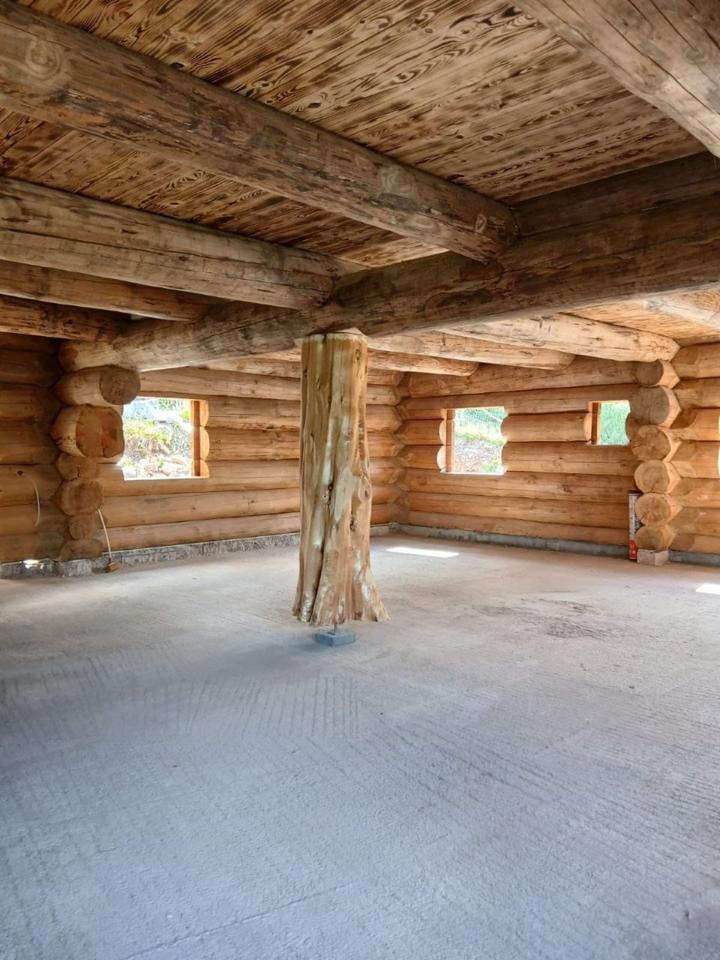 Thumbnail-Einzigartige Baumstammwohnung aus Douglasie am Feldberg