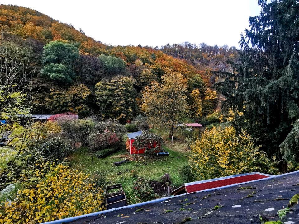 Thumbnail-großes helles WG zimmer im Grünen