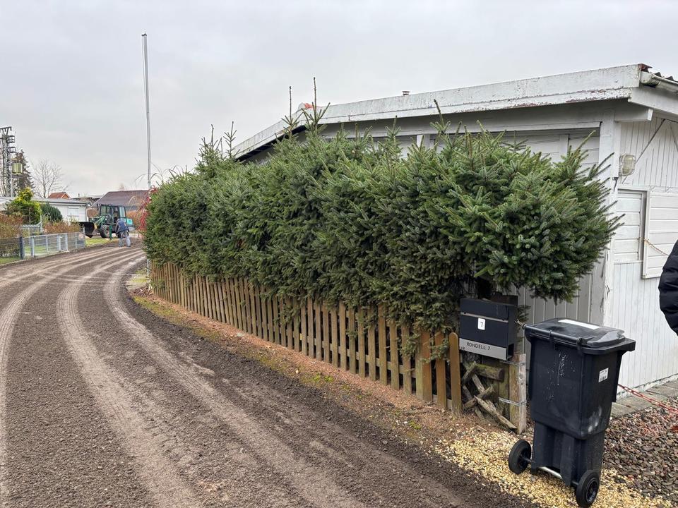 Thumbnail-Haus am Ohlenstedter Quellsee