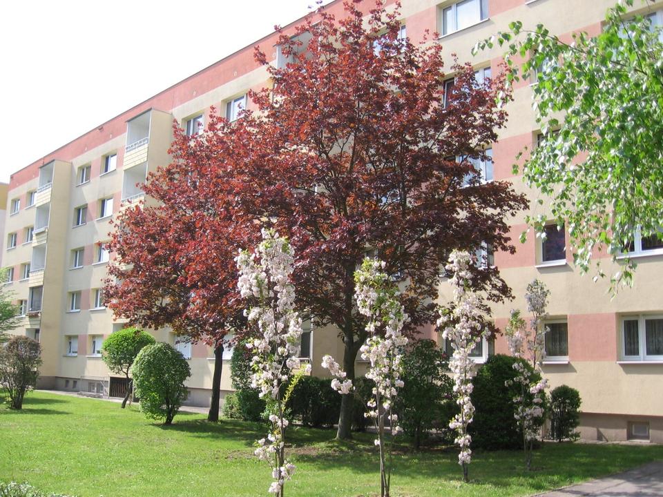 Thumbnail-Bezugsfertige 2 Raumwohnung im Erdgeschoss