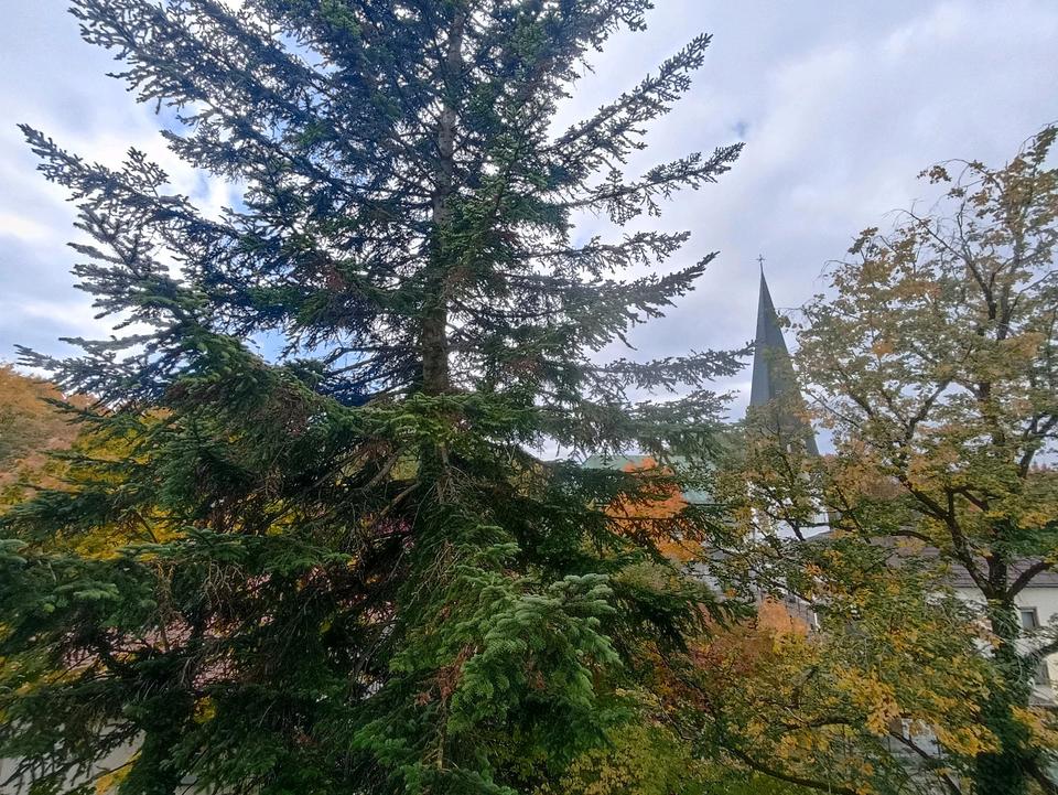 Thumbnail-Wohnung west Balkon 3. letzte Etage Provisionsfrei unvermietet