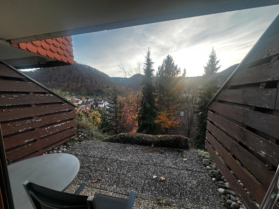Thumbnail-1-Zimmer Wohnung mit Balkon in Bad Urach