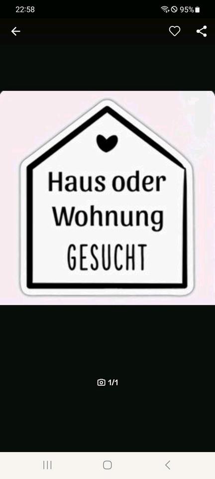 Thumbnail-017672149997