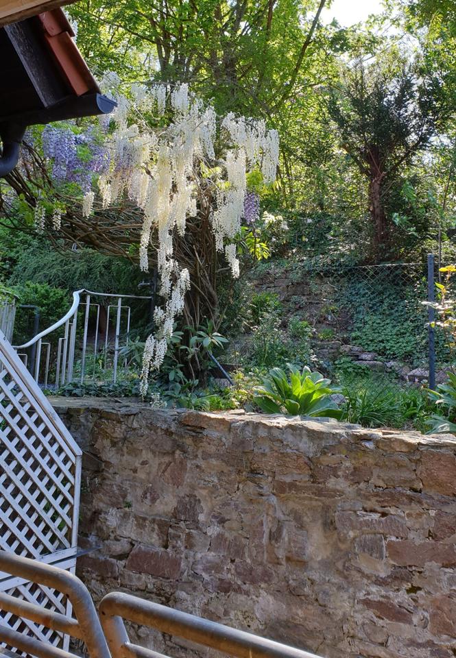Thumbnail-Charmante Maisonette-Wohnung im Herzen von Aschaffenburg