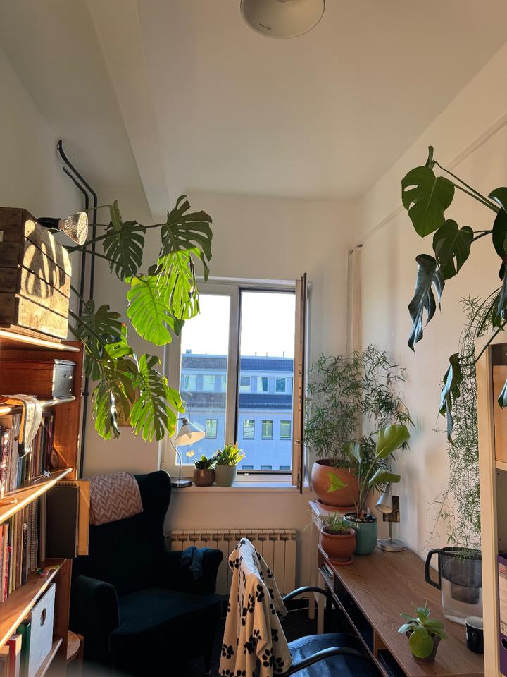 Thumbnail-Büro zu vermieten, S-Bahn-Haltestelle Karlshorst