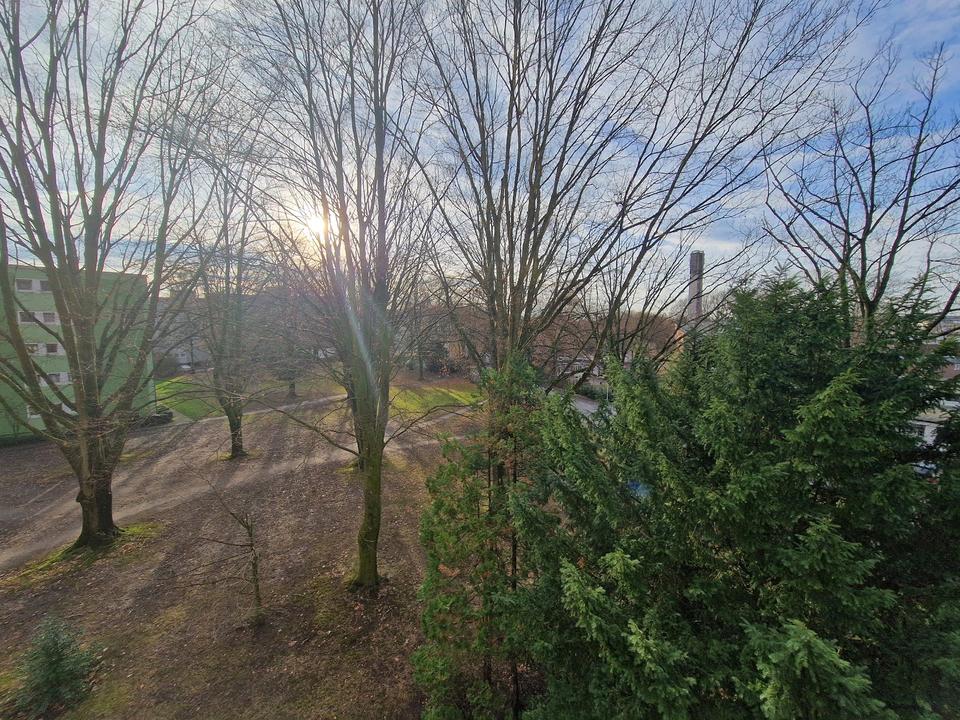 Thumbnail-Helle, frisch renovierte 3-Zimmer-Wohnung