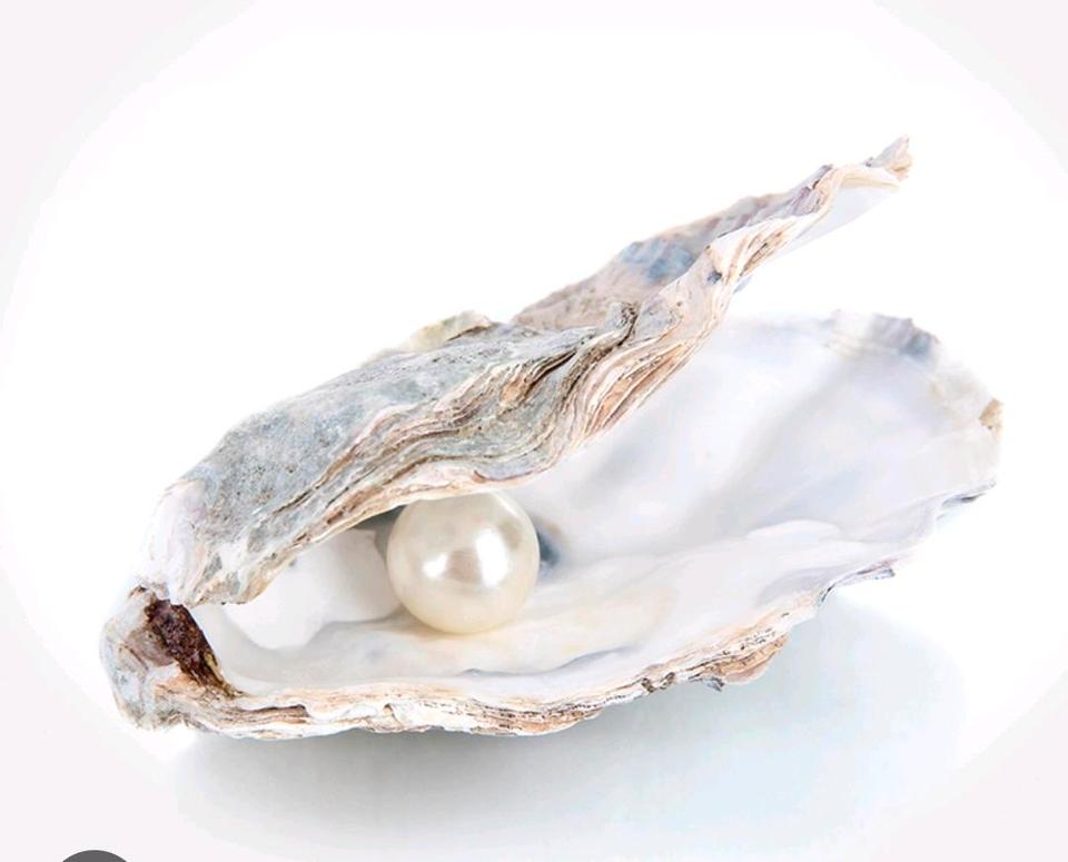 Thumbnail-1 Haus mit Vergangenheit