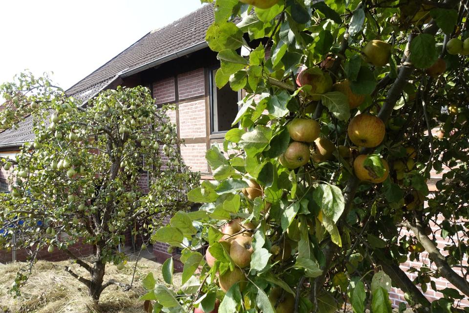 Thumbnail-Eigener Brunnen, eigenes Obst und krisensichere Wärme!!