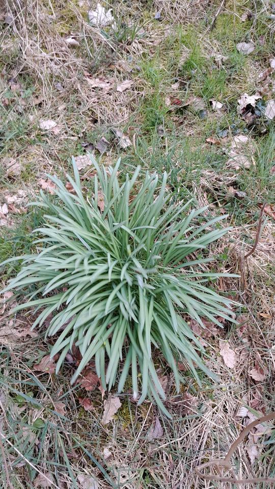 Thumbnail-Appartement, 36m², 440m² Garten...