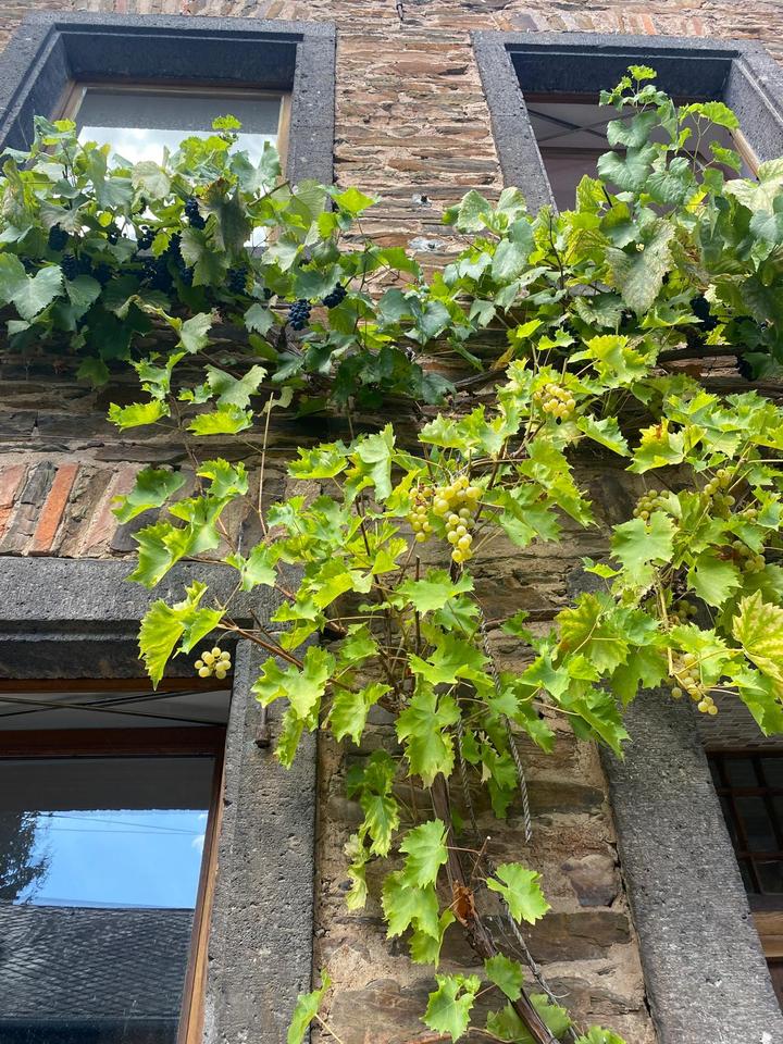 Thumbnail-Provisionsfrei-Liebevoll restauriertes Naturstein-Winzerhaus
