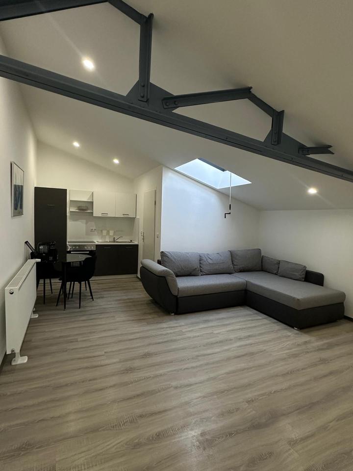 Thumbnail-Möblierte 2-Zimmer-Wohnung in Mainz-Mombach zu vermieten