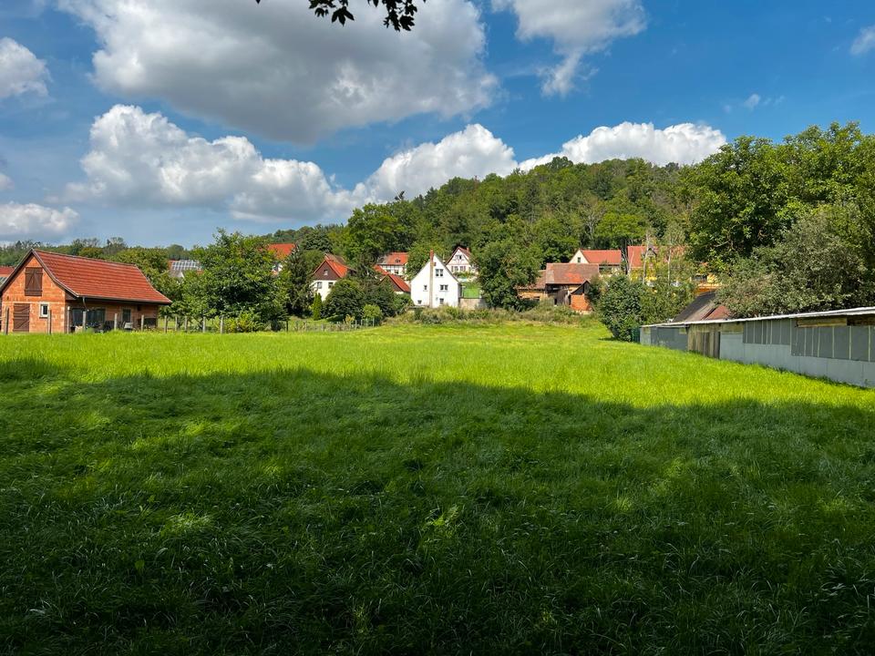 Thumbnail-Einfamilienhaus mit viel Fläche, Nebengelass und Waldgrundstück