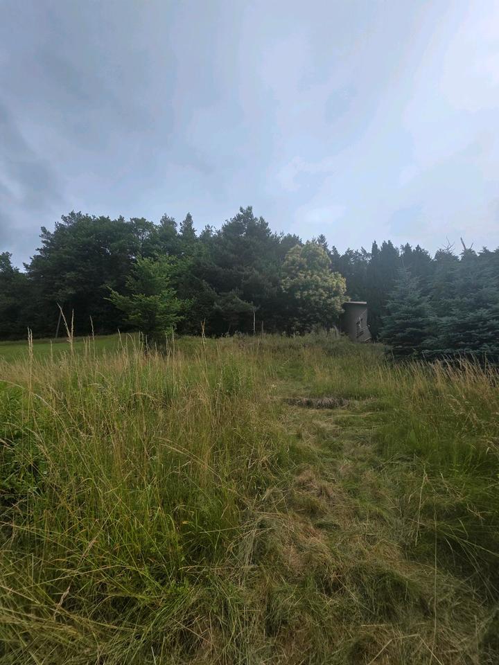 Thumbnail-Grundstück in Erlenbach bei Dahn – Naturnah wohnen mit Burgblick