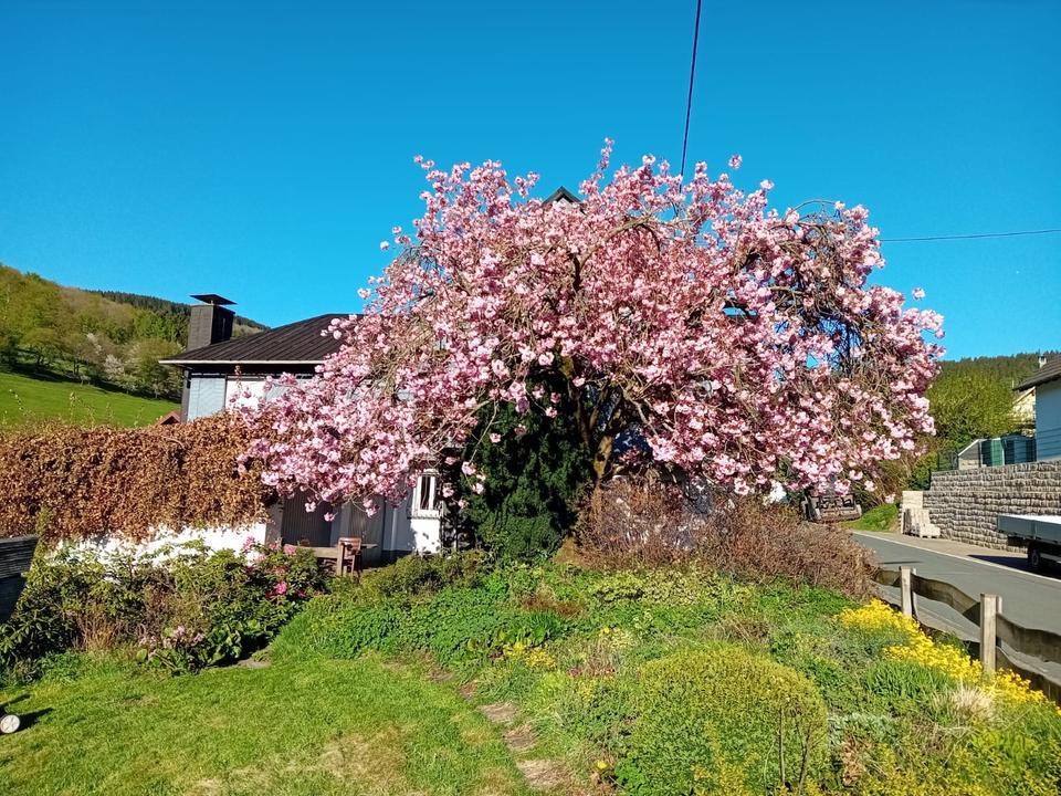 Thumbnail-Ferienwohnung in Hilchenbach- nah am Rothaarsteig