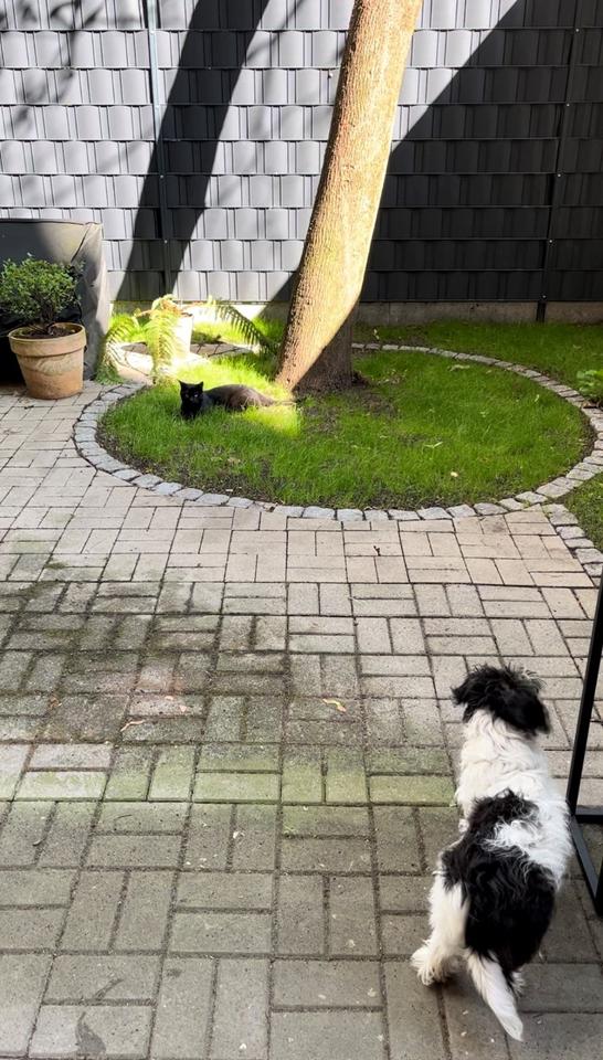 Thumbnail-2-Zimmer-Wohnung mit Garten zur Zwischenmiete