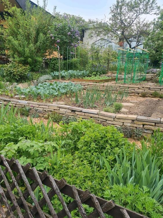 Thumbnail-Kleingarten abzugeben.