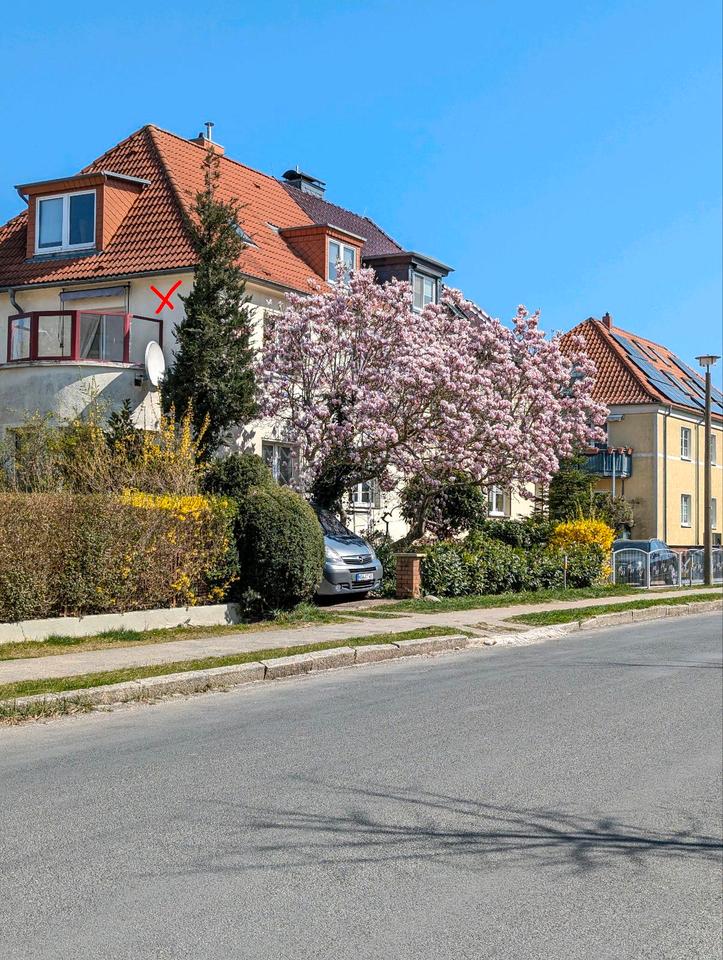 Thumbnail-3 Zi. Wohnung in sehr guter ruhigen Lage in Greifswald