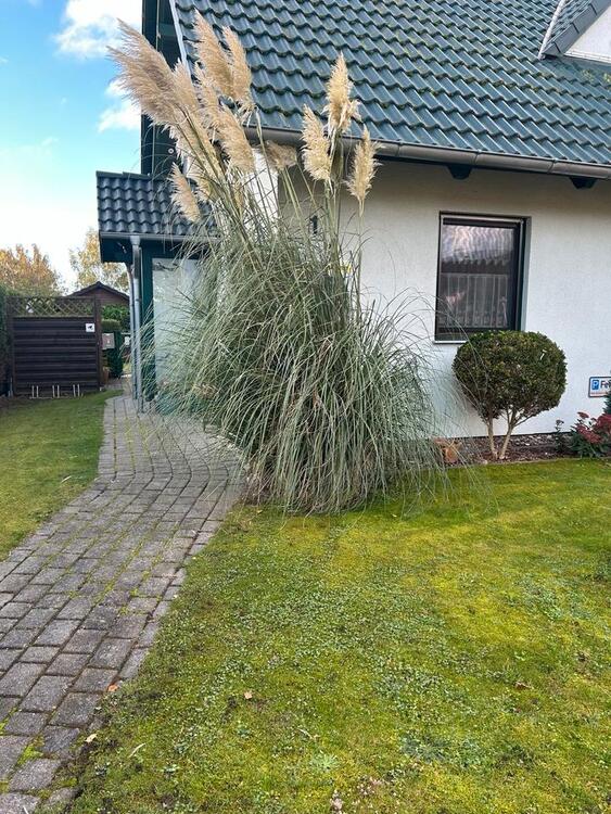 Thumbnail-Ostseebad Dierhagen!1,5 Raum Whg auf Zeit bis 30.4.26