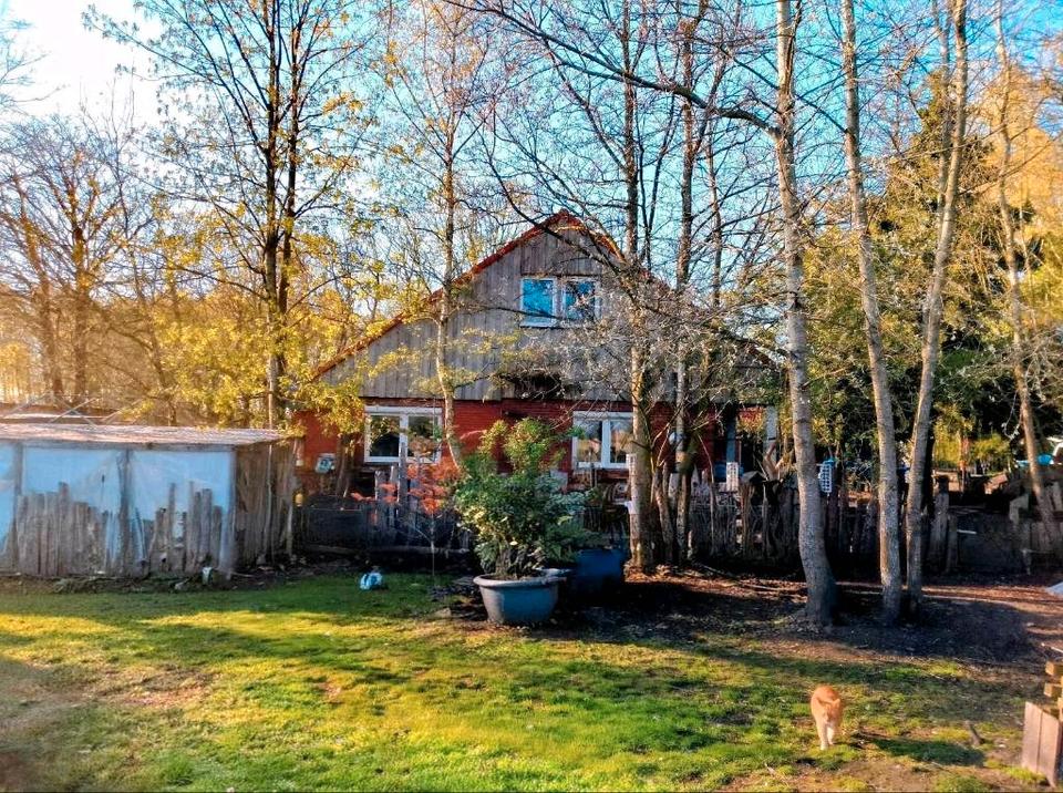 Thumbnail-Sackgassenende, fast Alleinlage +5ha Pacht