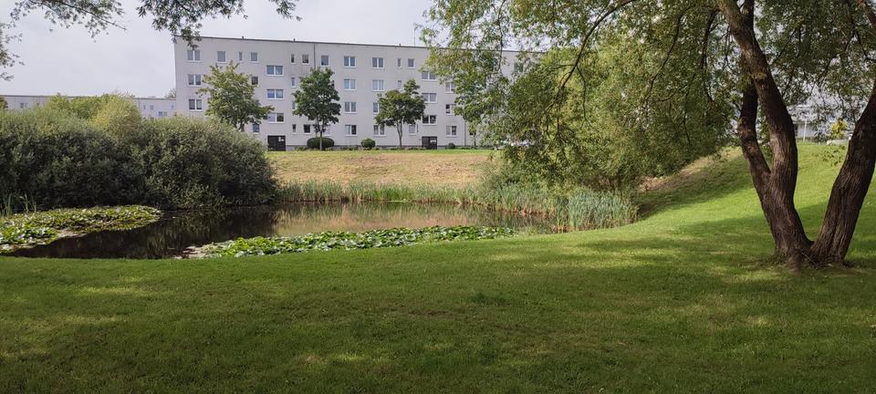 Thumbnail-Schöne helle 2-Zimmer Wohnung mit sonnigem Balkon