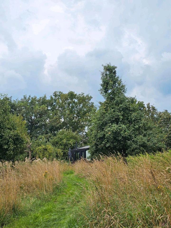 Thumbnail-vermiete wunderschönes Naturgrundstück für Tinyhaus, Tipi usw.