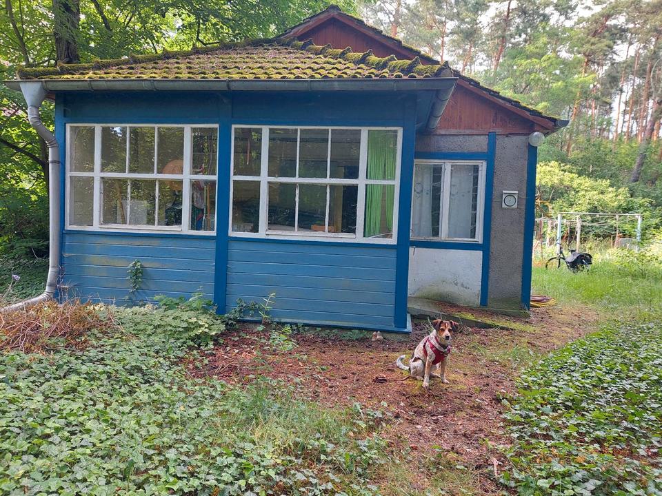 Thumbnail-Waldidylle: Grundstück 1000qm mit altem Häuschen in Fichtenwalde