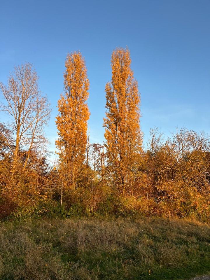 Thumbnail-Geräumige und helle 3-Zimmer-Wohnung