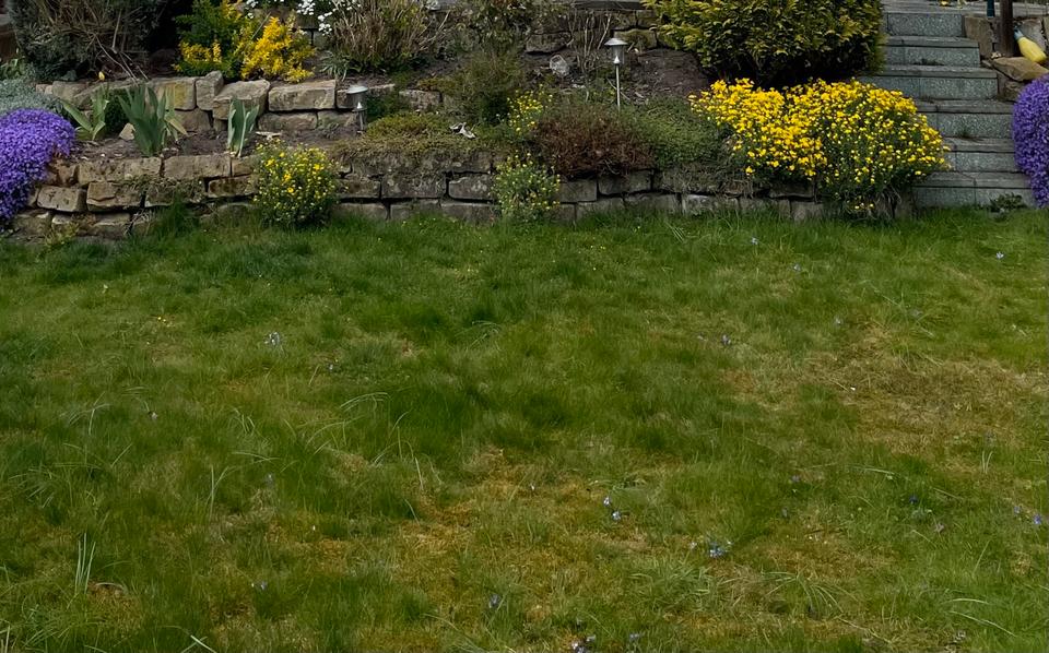 Thumbnail-Endreihenhaus mit Garten