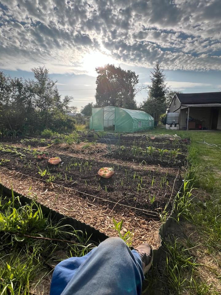 Thumbnail-Gemeinschaftsgarten in Berlin Karow - Garten - Keine Ablöse