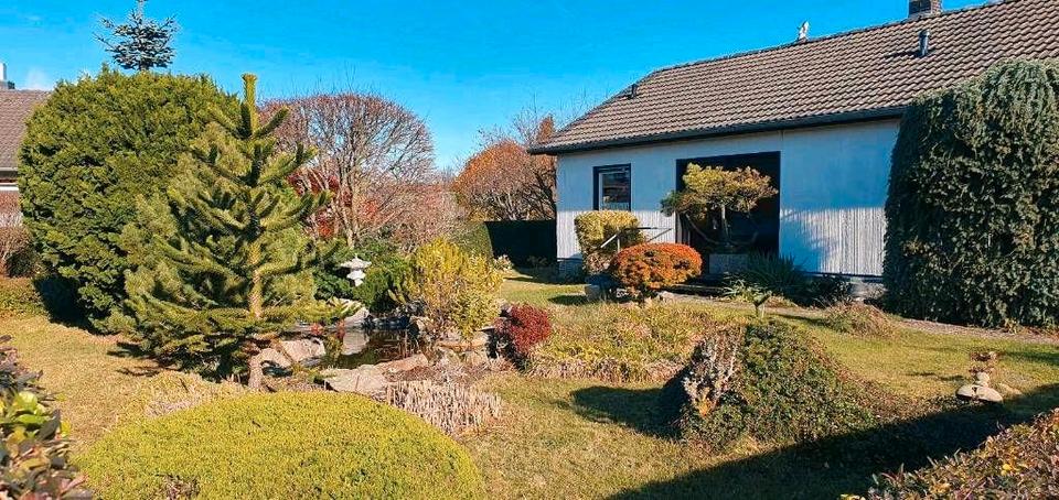 Thumbnail-Einfamilienhaus in Ohlhof