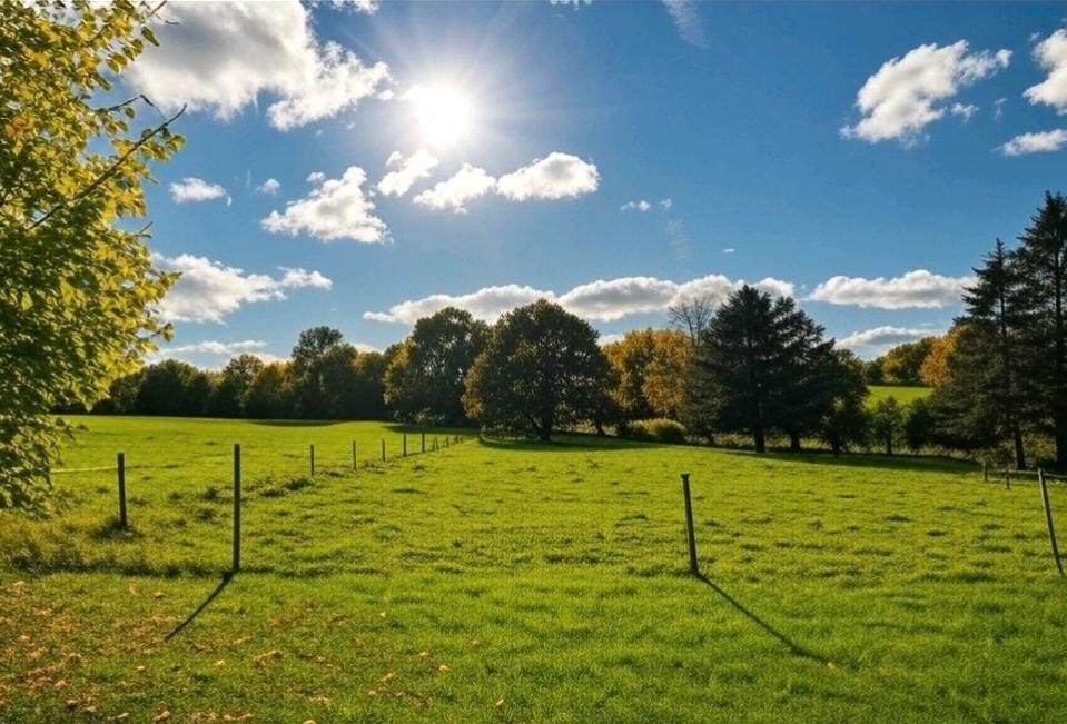 Thumbnail-Helle Räume, grüne Umgebung - 4 Zimmer Wohnung in ländlicher Lage