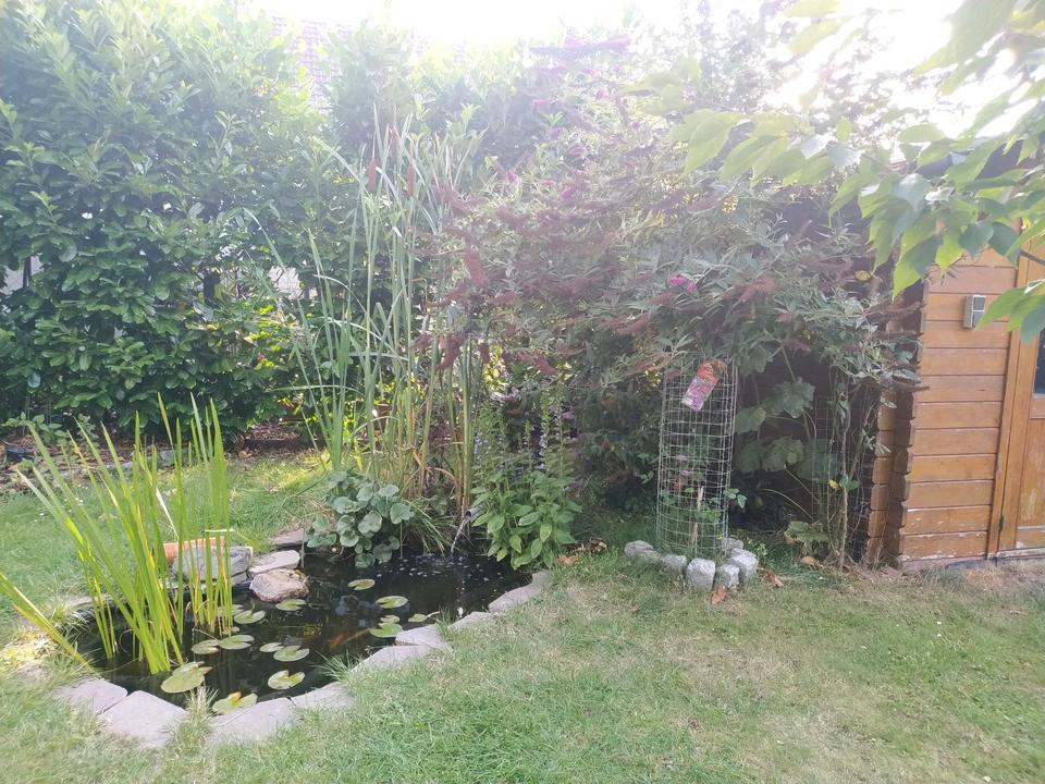 Thumbnail-Haus (Hälfte) 5min.fußläufig Zentrum Bad Harzburg