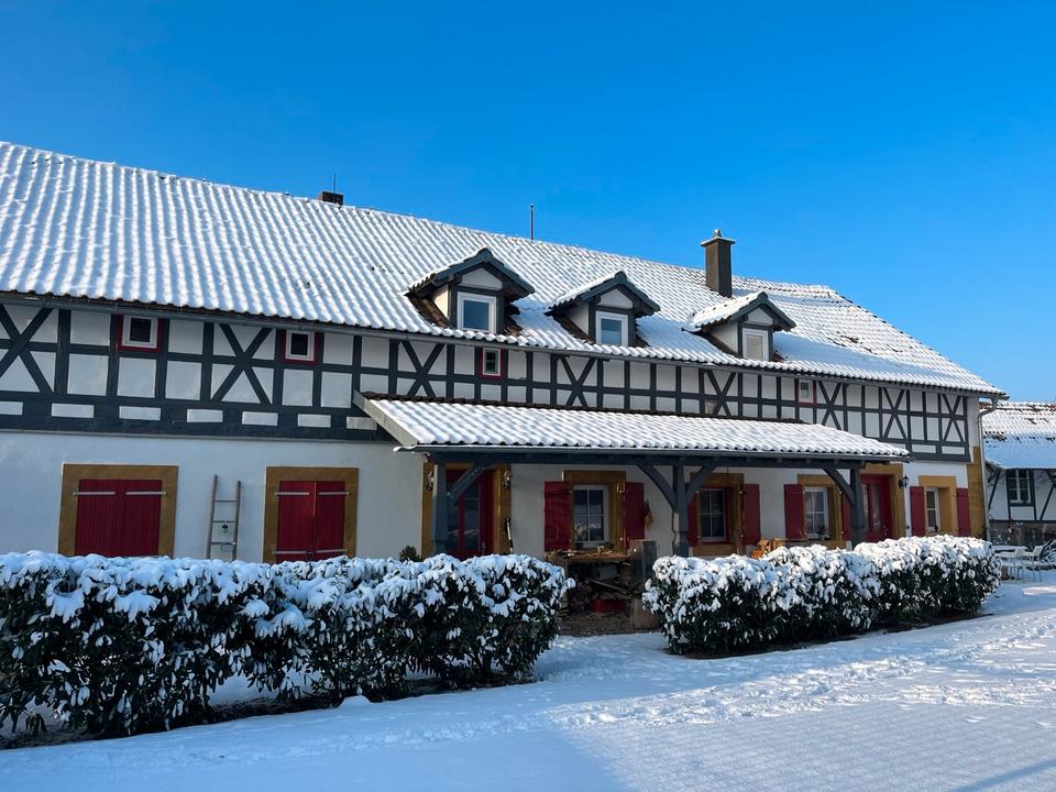 Thumbnail-Wohnen mit Pferden