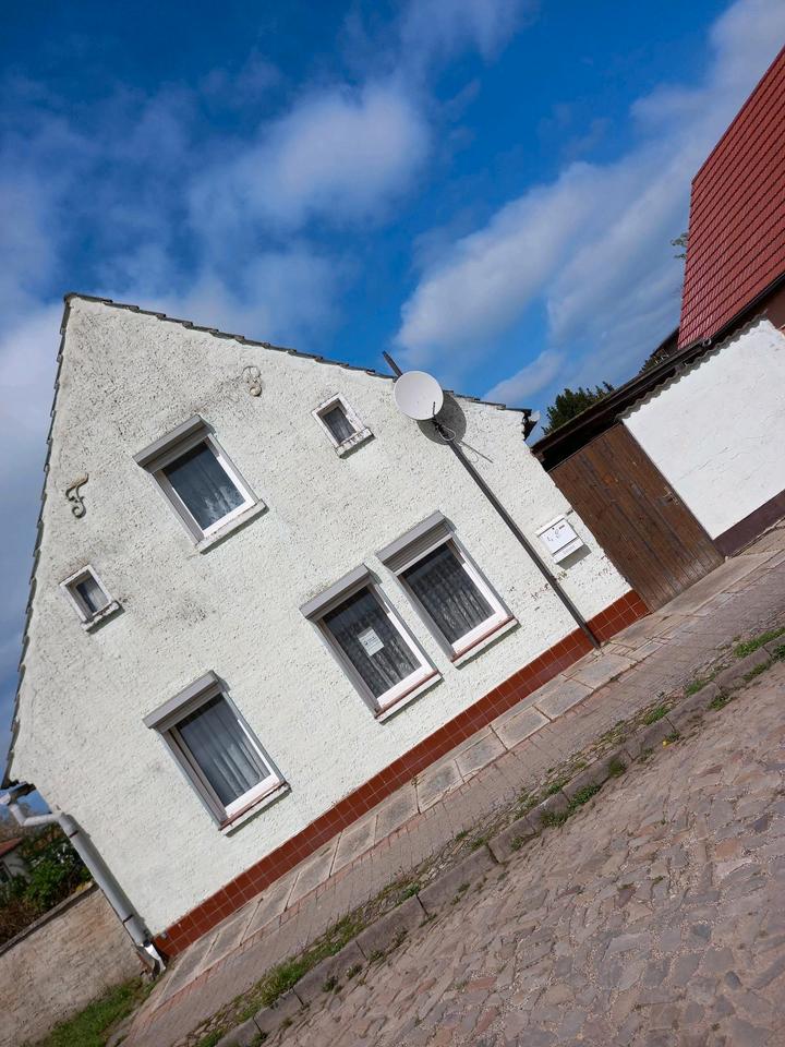 Thumbnail-Einfamilienhaus mit Gartenland