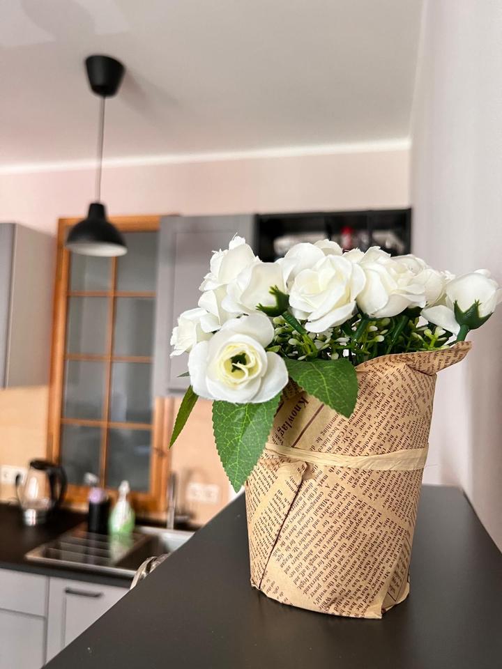 Thumbnail-1 Raum Apartment mit Einbauküche, möbliert