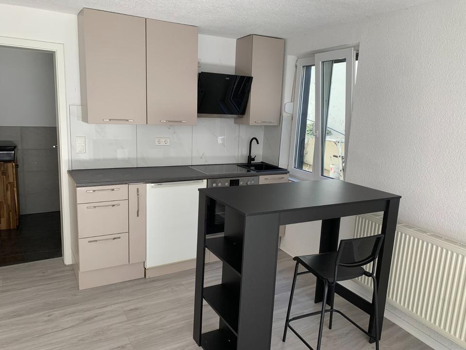 Thumbnail-Helles und geräumiges 1-Zimmer Apartment im EG ab sofort