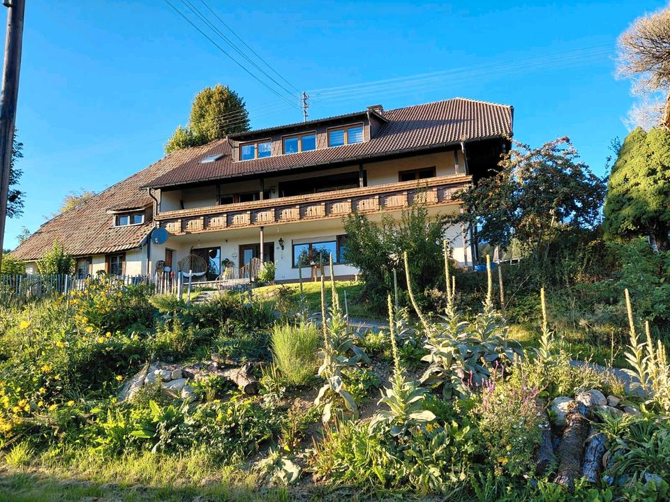 Thumbnail-5 Zimmer Wohnung Herrischried