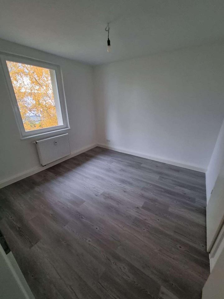 Thumbnail-2 Zimmerwohnung in ruhiger Lage nahe OF Marktplatz