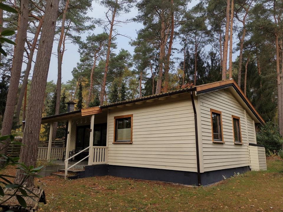 Thumbnail-Ferienhaus Auszeit Mardorf Weisse Düne 1-2 max. 3 Pers.