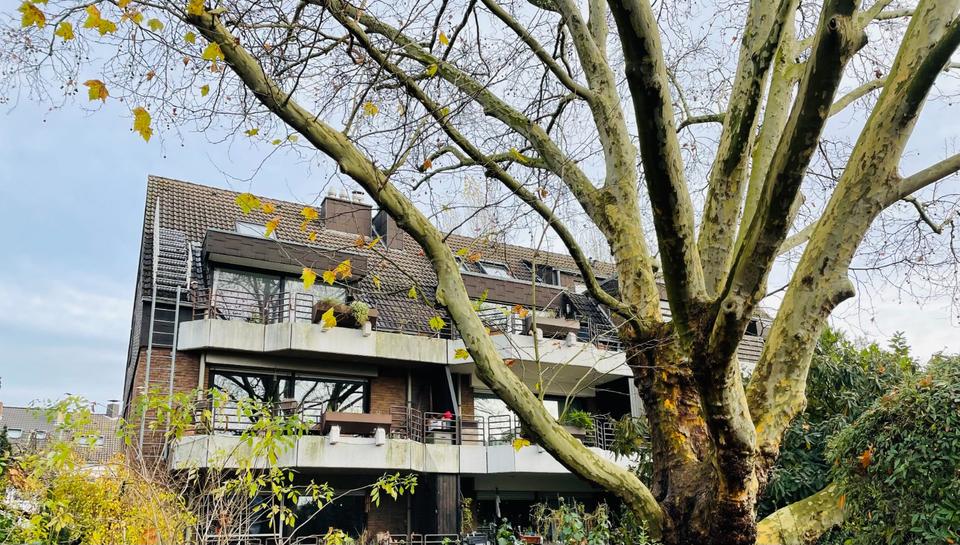 Thumbnail-D-NIEDERKASSEL - Reizende 2-Zimmerwohnung mit off. Kamin, Einbau-Küche und Terrasse