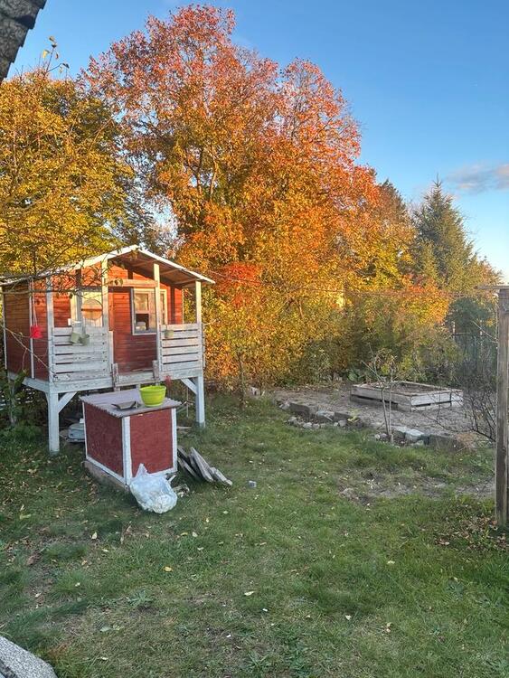 Thumbnail-Gartenbeteilligung Potsdam