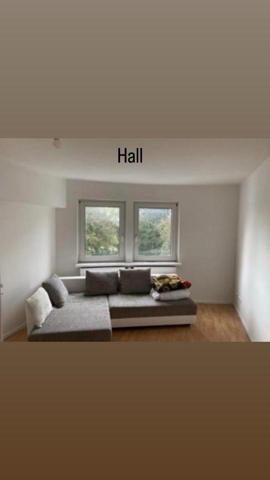 Thumbnail-A nice 1 hall, 1 bedroom, kitchen apartment (56 m2)