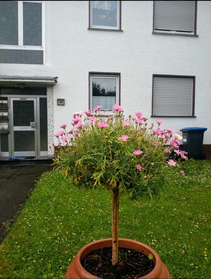 Thumbnail-In schöner Naturlage