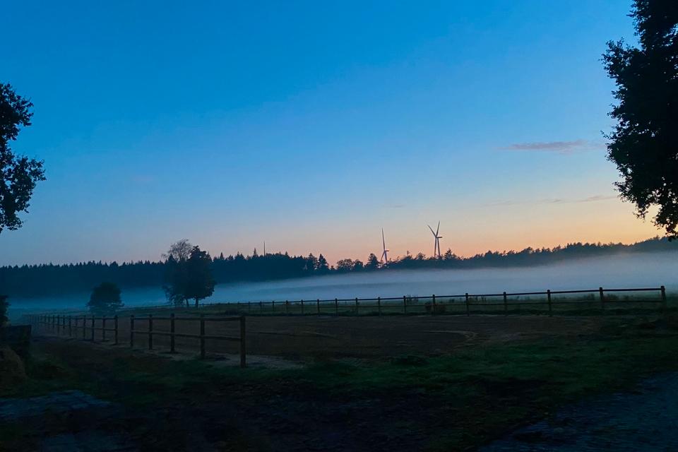 Thumbnail-Ferienwohnung, Urlaub auf dem Pferdehof, Haustiere erlaubt