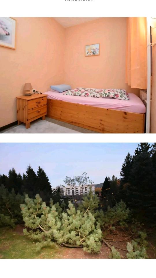 Thumbnail-Ferienwohnung in Hahnenklee im Harz zu verkaufen