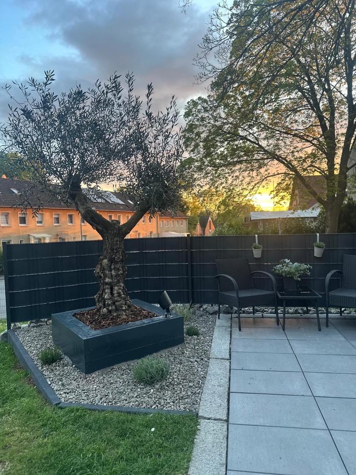 Thumbnail-Gepflegtes Reihenendhaus zu verkaufen