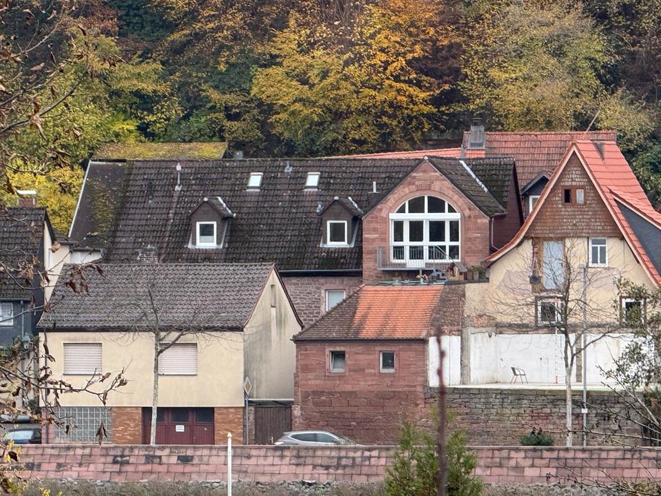 Thumbnail-Mehrfamilienhaus mit Dachterrasse und Mainblick
