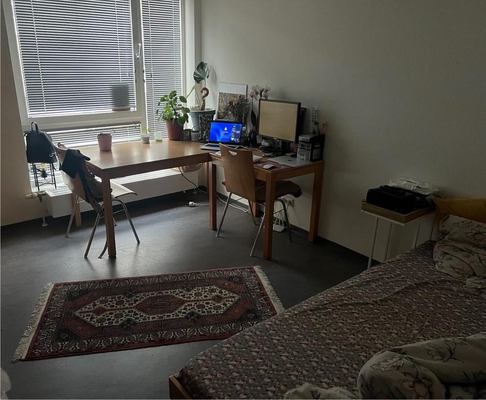 Thumbnail-Wohnung im Mai zu vermieten