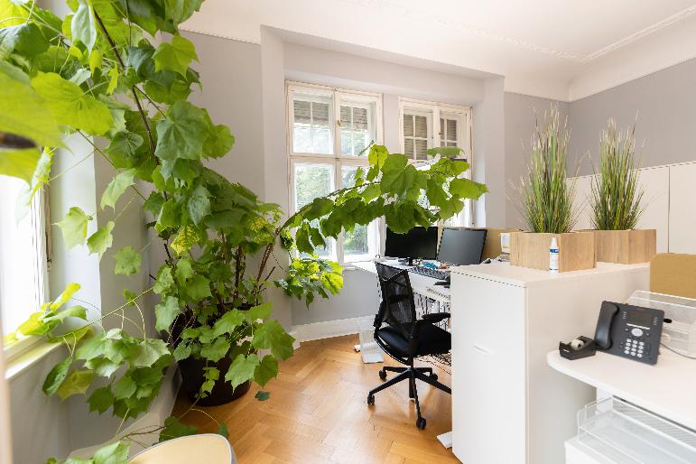 Thumbnail-Repräsentatives Altbaubüro mit Stuck & Flügeltüren - möbliert, WLAN